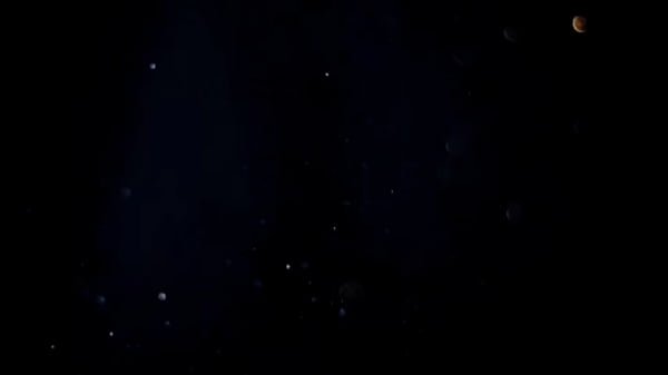 Sexo grupal intenso com MILF casada Sra Lovefire